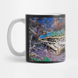 Backyard Frog (2) Mug